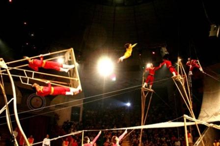 Le cirque vietnamien à l’honneur en France